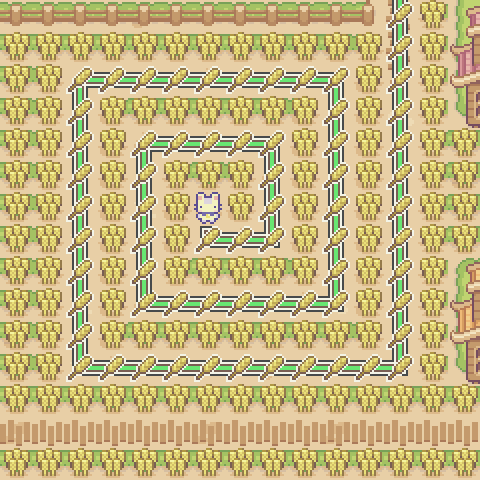 Map overview and path